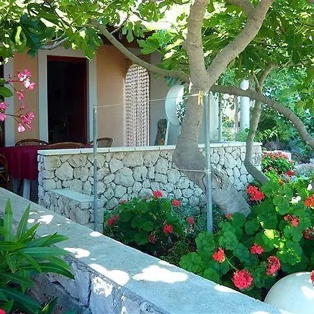 Vanja - Kanica *